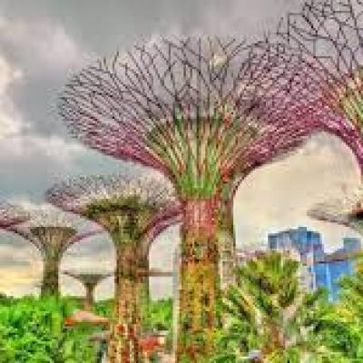 TOUR DU LỊCH SINGAPORE